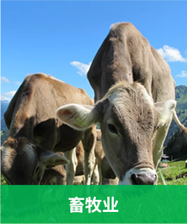 水果追溯应用
