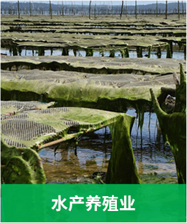 畜禽追溯应用