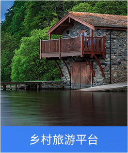 乡村振兴平台拓展方向三